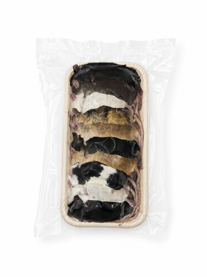 Mice - Adult (20-30 grams)