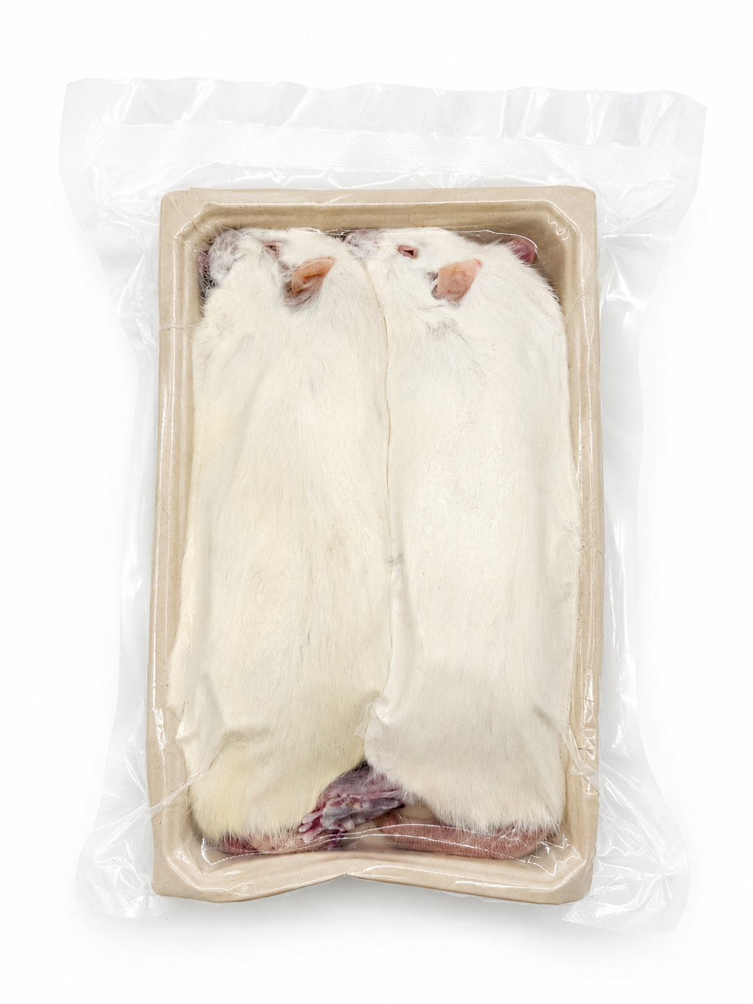Rats - Jumbo (250 grams+)