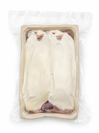 Rats - Jumbo (250 grams+)