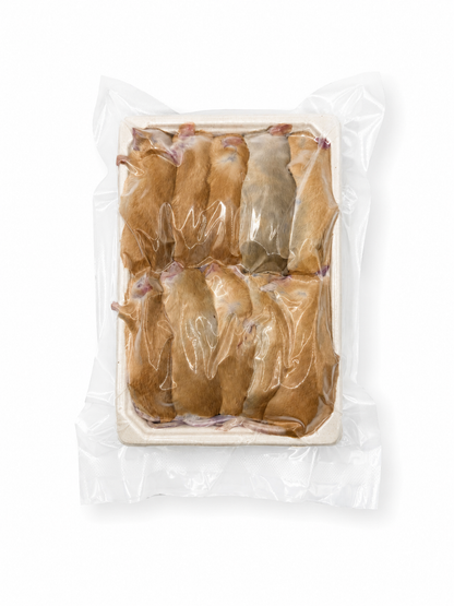 Mice - Adult Jumbo (30 grams+)
