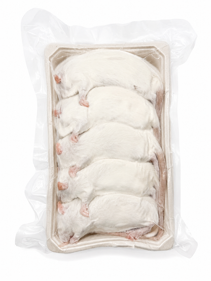 Rats - Small (70-99 grams)
