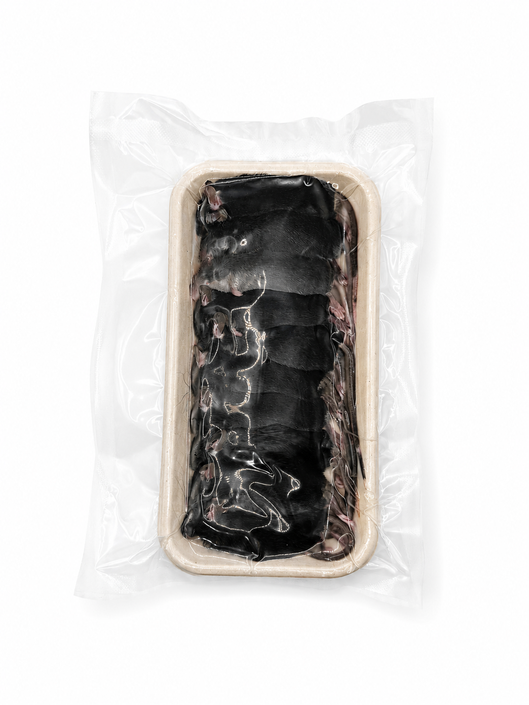 Mice - Weaner (12-20 grams)